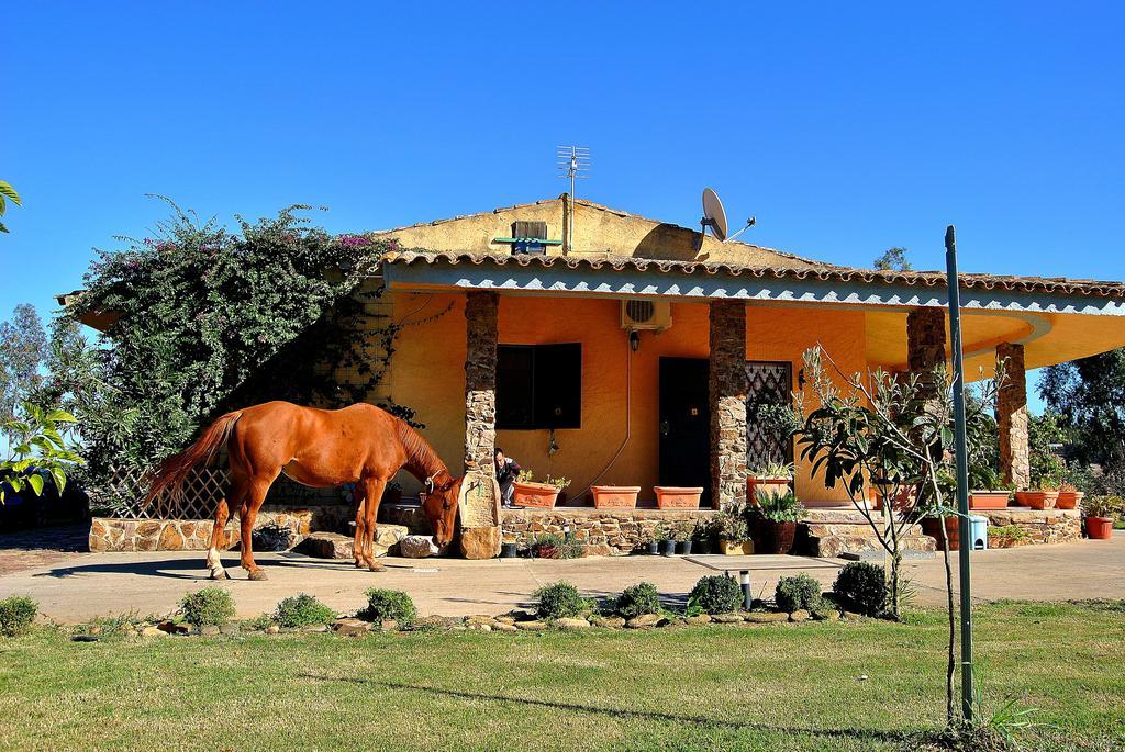 Agriturismo Monte Majore Siliqua المظهر الخارجي الصورة
